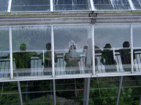 6 friends in a greenhouse