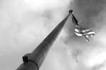 black and white flag
